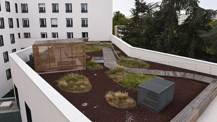 Hôpital des Massues - Toit végétalisé, terrasse