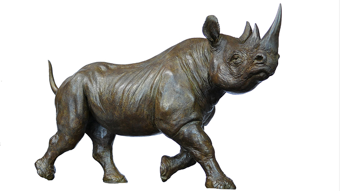 Femelle rhinocéros