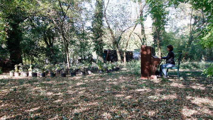 Concert pour une Nouvelle Forêt, Guillaume Barth