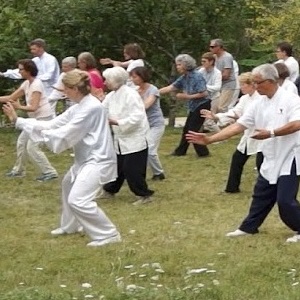 Qi Gong, Tai Chi Chuan Style Yang et Tai Chi avec l'éventail