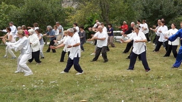 Qi Gong, Tai Chi Chuan Style Yang et Tai Chi avec l'éventail