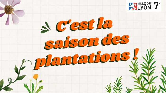 saison des plantations-p