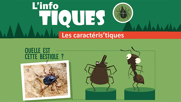 Campagne d'information sur les tiques