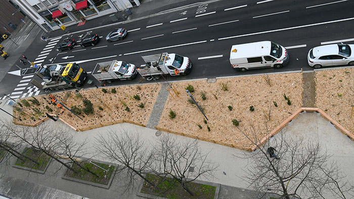 Plantation rue de Saint-Cyr, 9e arrondissement