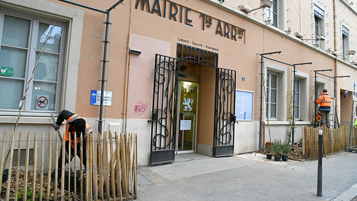 Plantation sur la façade de la Mairie du 1er